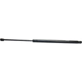 Lift Support for Ford Freestar (2004–2007) Rear Driver and Passenger Side