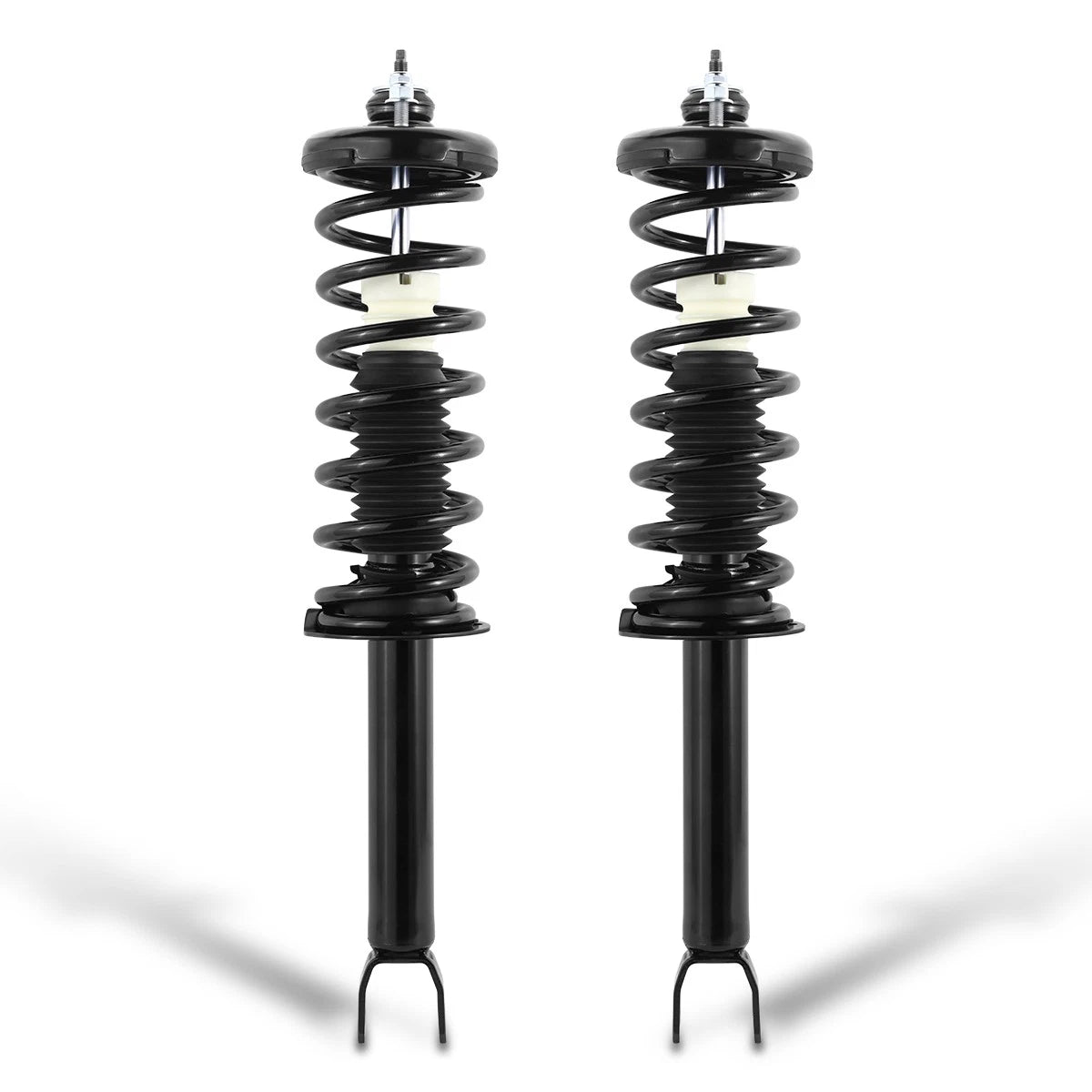 Complete Rear Struts Assembly w/Coil Springs for Honda Accord/Acura TSX (2008–2017)