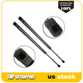 2Pcs Rear Tailgate Lift Supports for Nissan Murano (2005–2007)