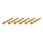 Set of 6 Titanium M6x55mm Torx Head Flange Screws for Motorcycle Bike