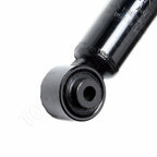 Set of 2 Rear Struts Assembly for Acura TSX (2004–2008)