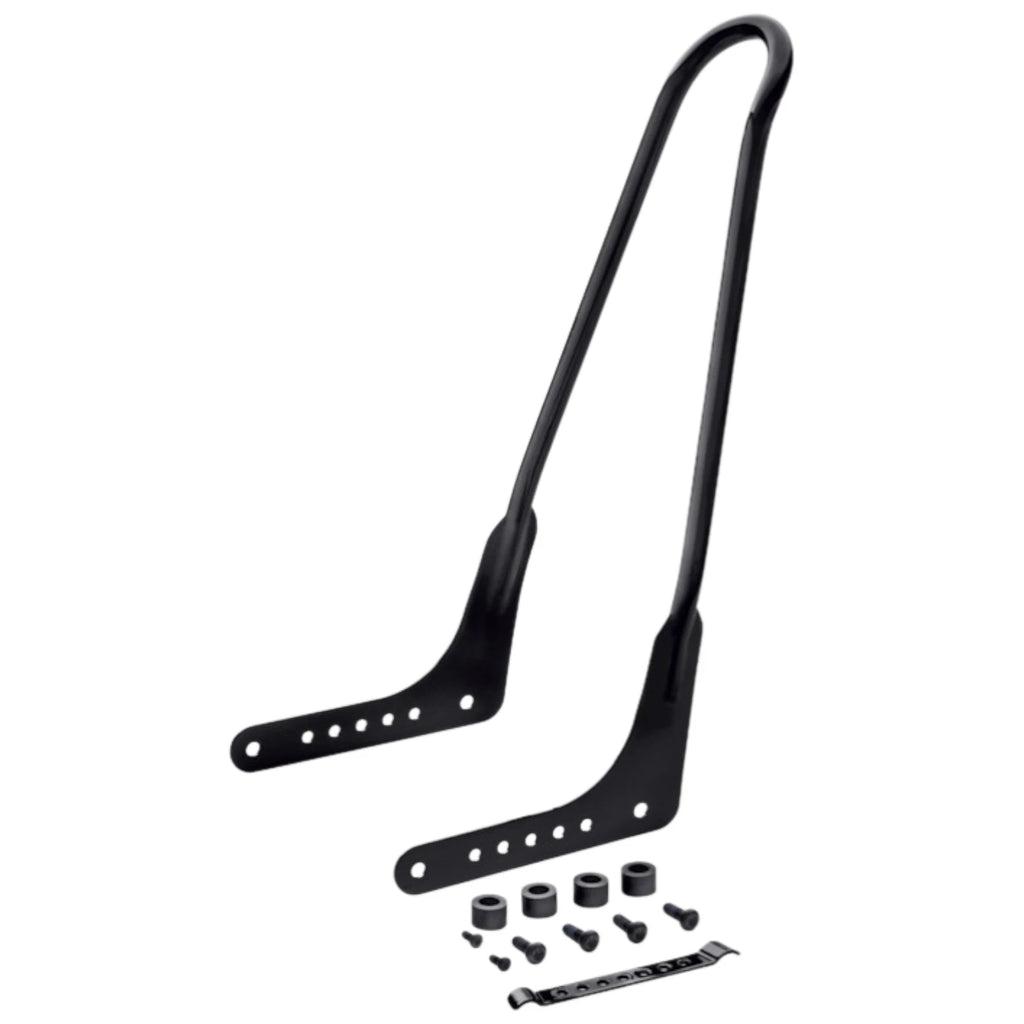 One Piece Rigid Mount Sissy Bar for Harley-Davidson FXBB Softail (2018–2023) 52300502