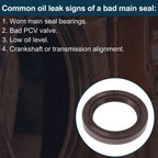 Front Crankshaft Oil Seal for Mazda 323 (1989–2004) No.B3C710602A