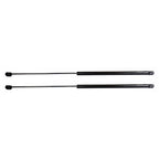 Hood Lift Supports Set of 2 for Sedan (Driver & Passenger Side)