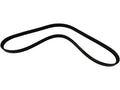 Power Steering Multi Rib Belt for Mazda 6 (2009–2013) TM474MR