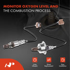 2X O2 Oxygen Sensors for Nissan NV200 (2013–2021)