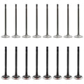 Set of 16 Intake & Exhaust Valves for Ford Escape, Escort, Focus, Tribute (L4)