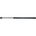 Lift Support for Hyundai Tiburon (2003–2008)