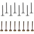 Set of 16 Intake & Exhaust Valves for Ford F-150 Mustang V8 (1993–1995)