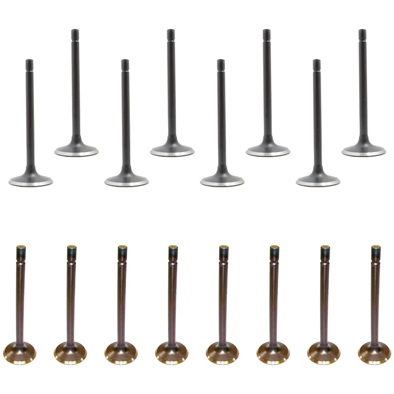 Set of 16 Intake & Exhaust Valves for Ford F-150 Mustang V8 (1993–1995)
