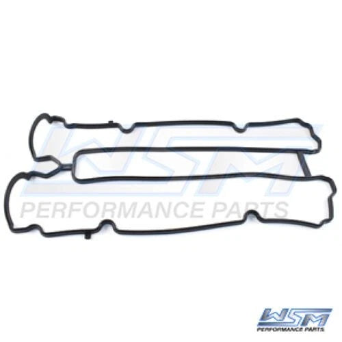 WSM Gasket for