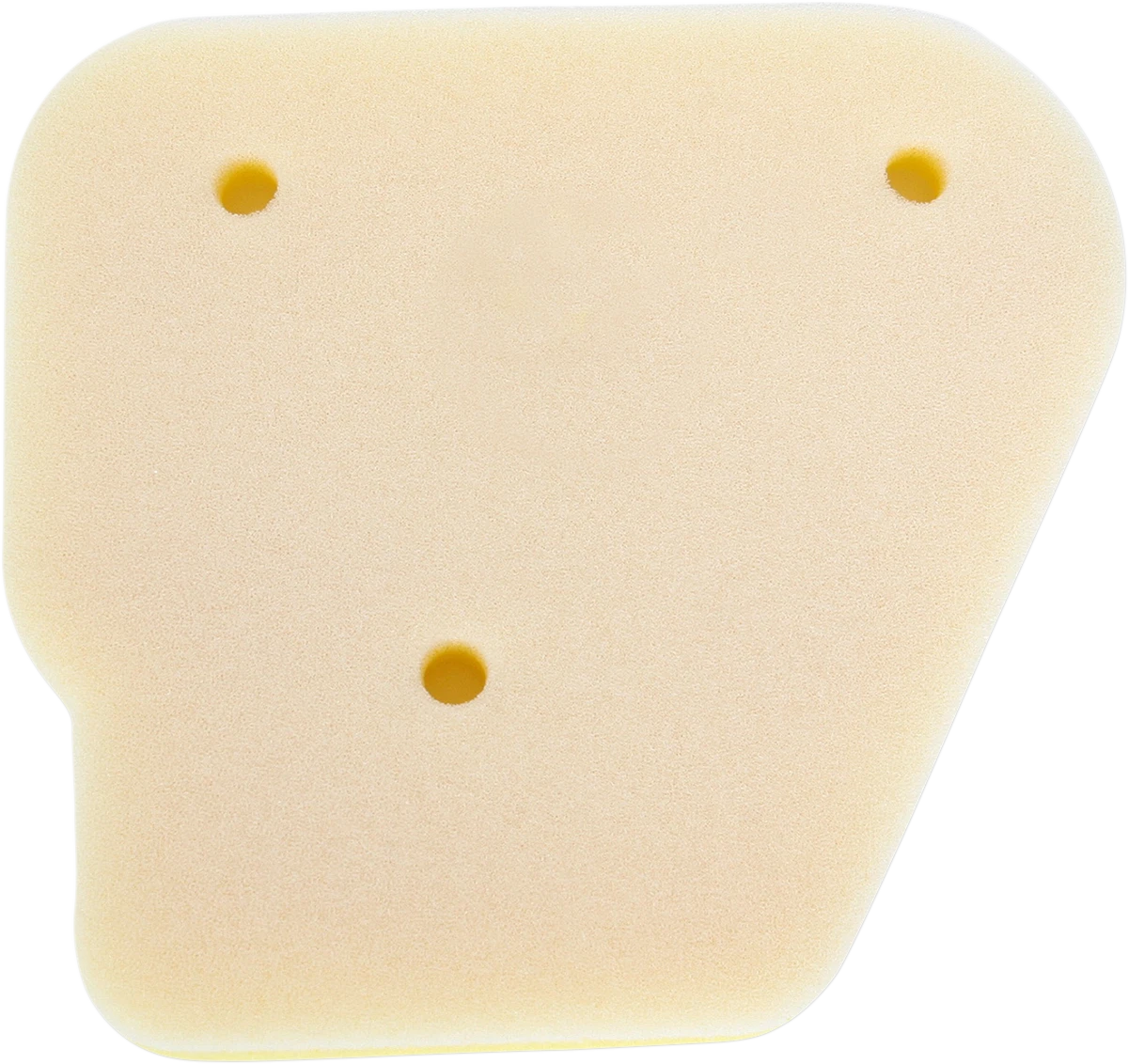 Foam Air Filter for Polaris 315-05 (No Toil)