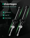 2X Front Shocks Struts Absorber for Lincoln LS Sedan RWD (2000–2002)