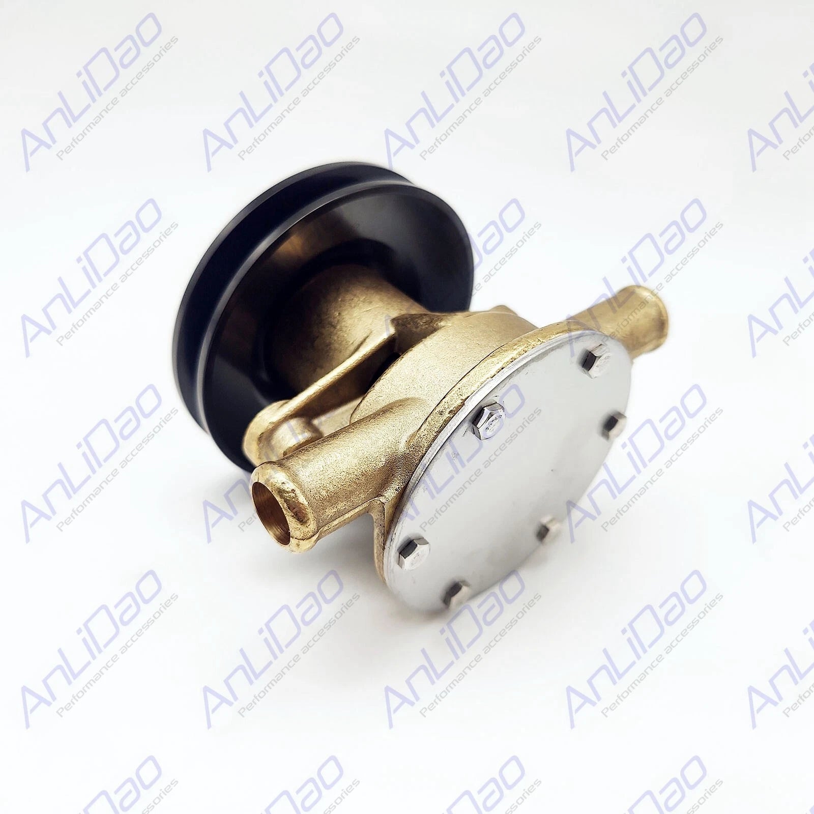 Sea Water Pump for Johnson Yanmar (128377-42500, 10-24509-01, 24509-02, 128990-42500)