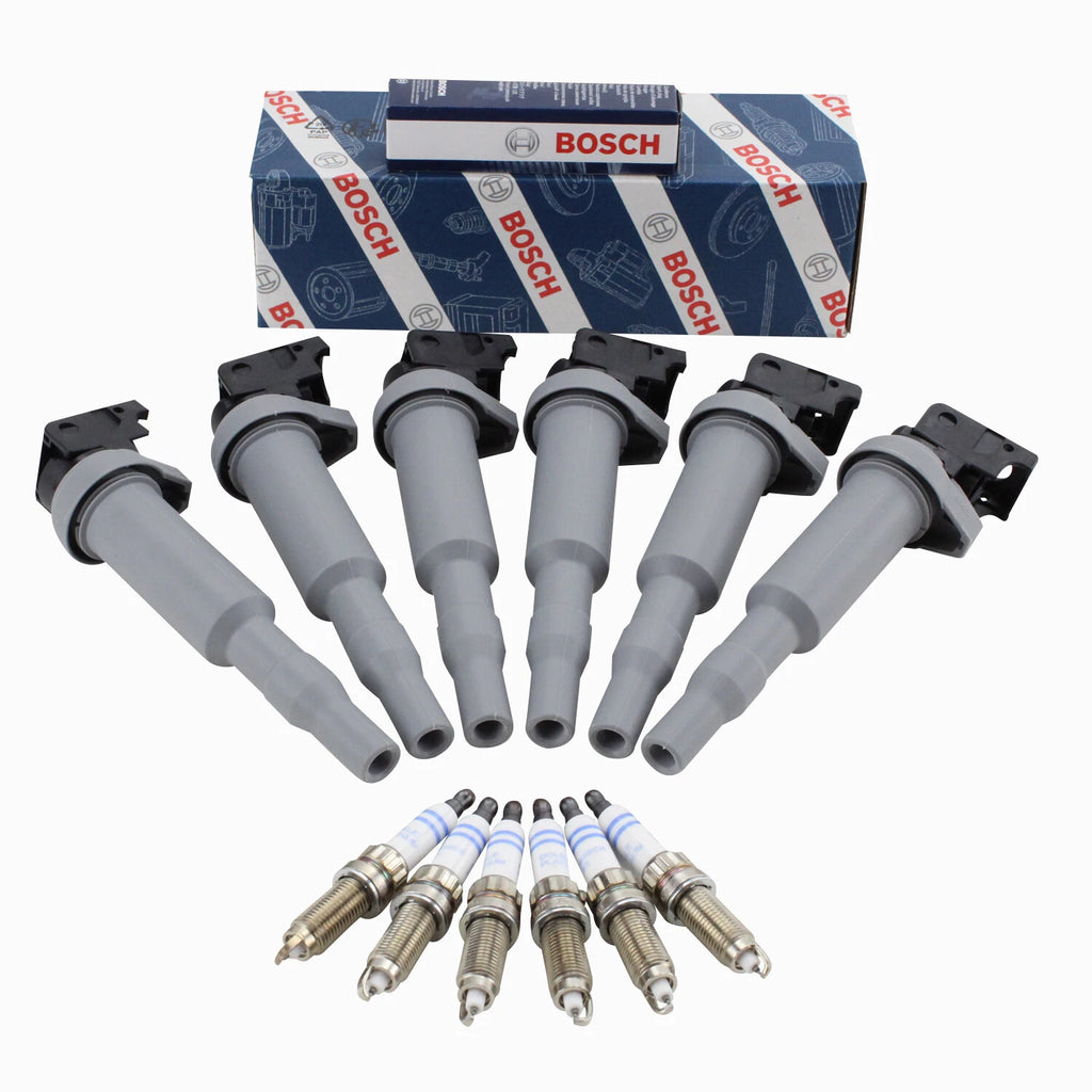 Set of 6 Ignition Coils & 6 Double Platinum Spark Plugs for BMW F30 F12