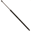Hatch Lift Support for Ford Escape (2018–2019)