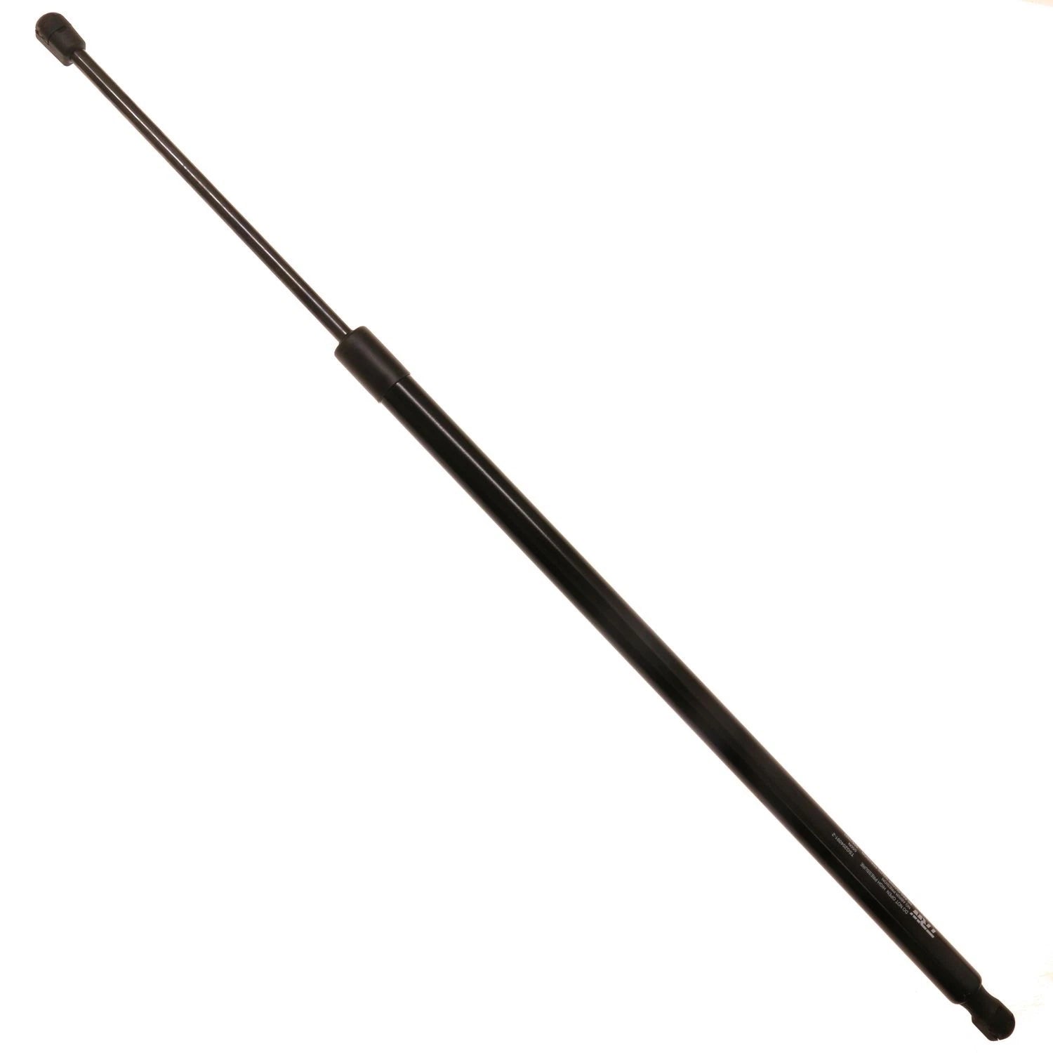Hatch Lift Support for Ford Escape (2018–2019)