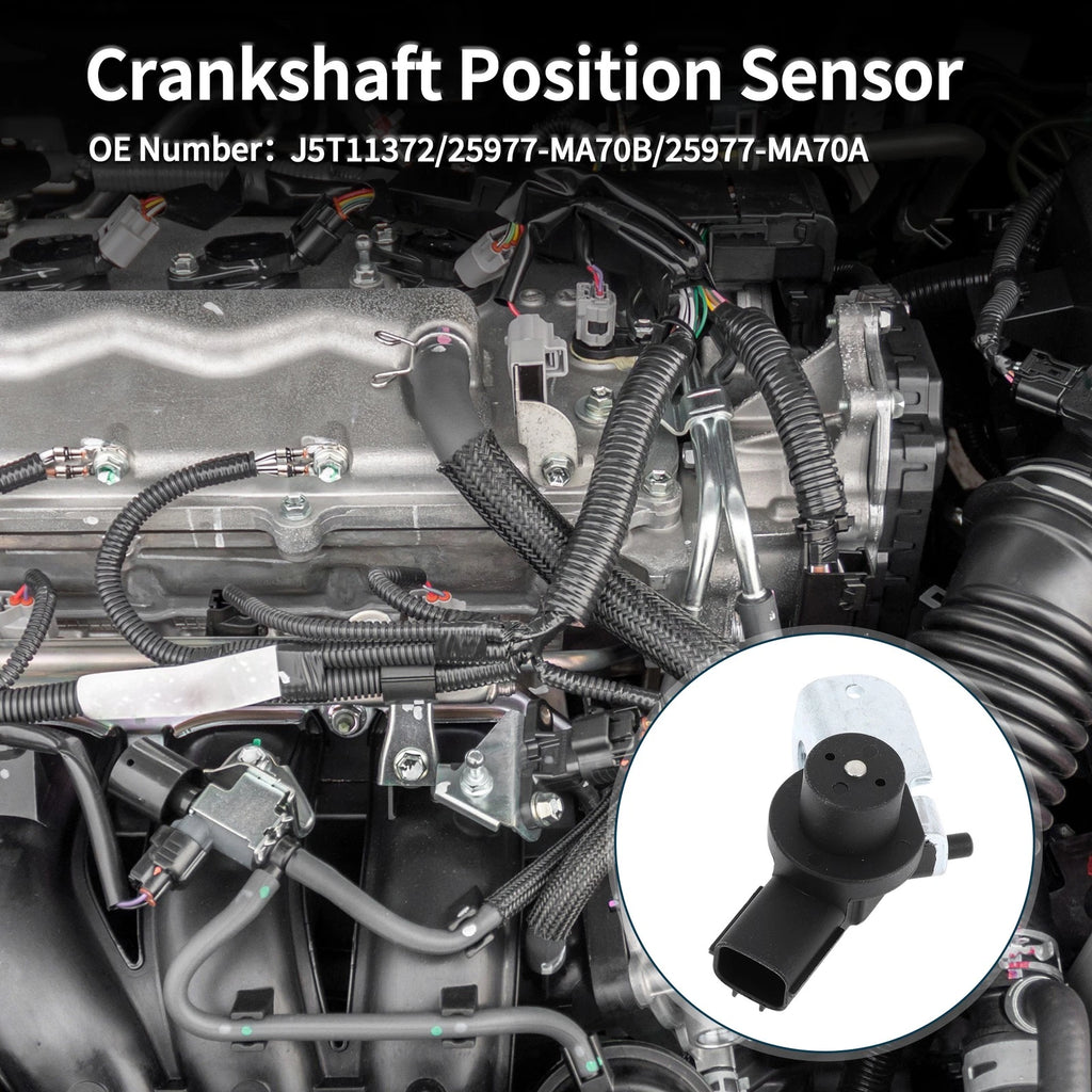 Crankshaft Position Sensor for Nissan Patrol Y61 (No. 25977-MA70B) 1 Pc Black