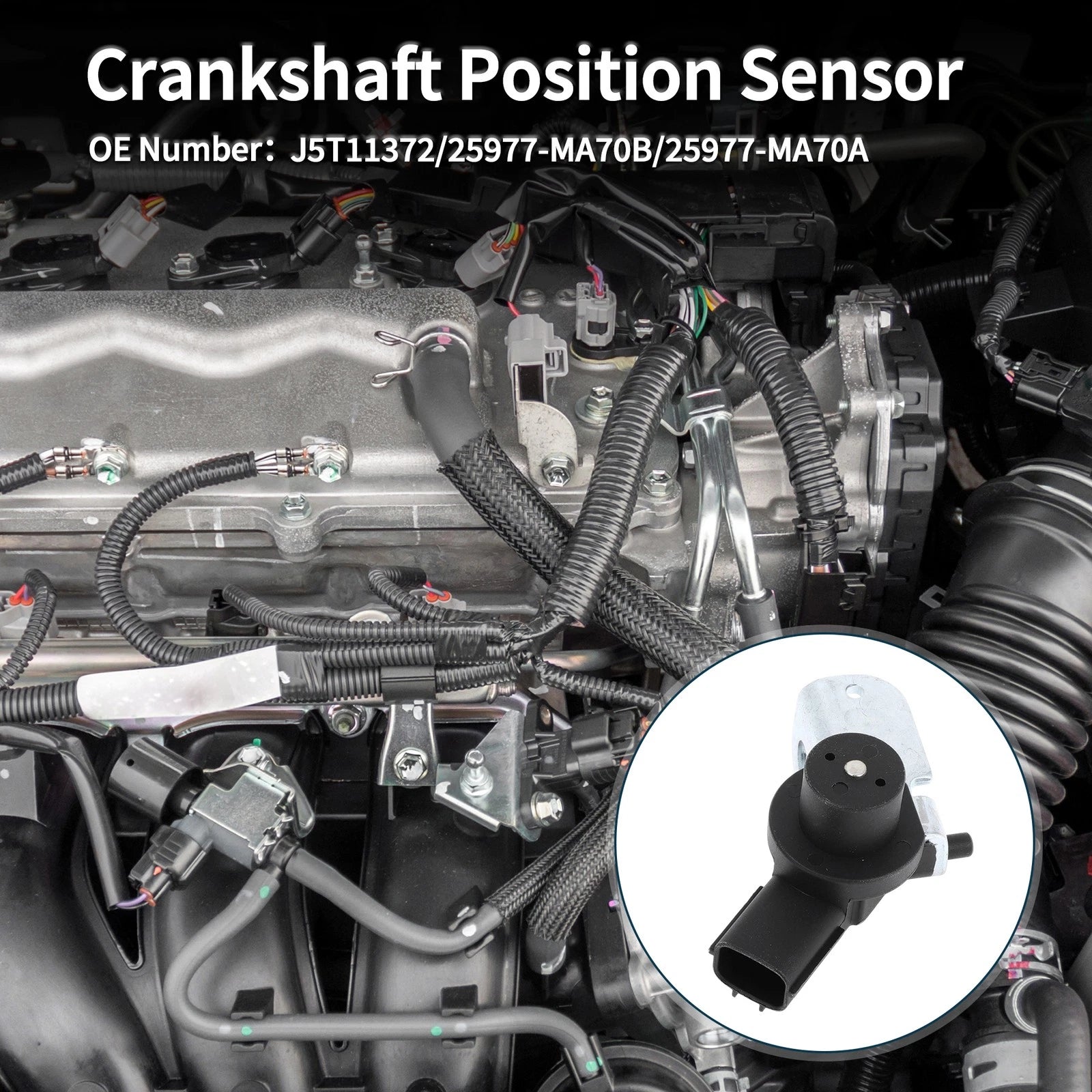 Crankshaft Position Sensor for Nissan Patrol Y61 (No. 25977-MA70B) 1 Pc Black