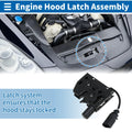 Hood Latch Assembly for Audi Q3 (2011–2018) No. 8U0823509/8U0823509A