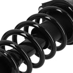 Pair Complete Rear Strut w/ Coil Spring for Scion tC (2005–2010)