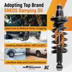 Pair Rear Struts with Coil Spring Assembly for Honda CR-V (2002-2006)