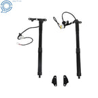 Set of 2 Tailgate Lift Support Struts for Toyota RAV4 (2013–2016)