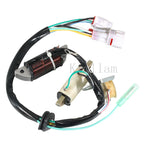 Stator Coil for Yamaha YFM 80 Badger 80 (1995–2001), Grizzly 80 (2005–2008), Raptor 80 (2002–2008)