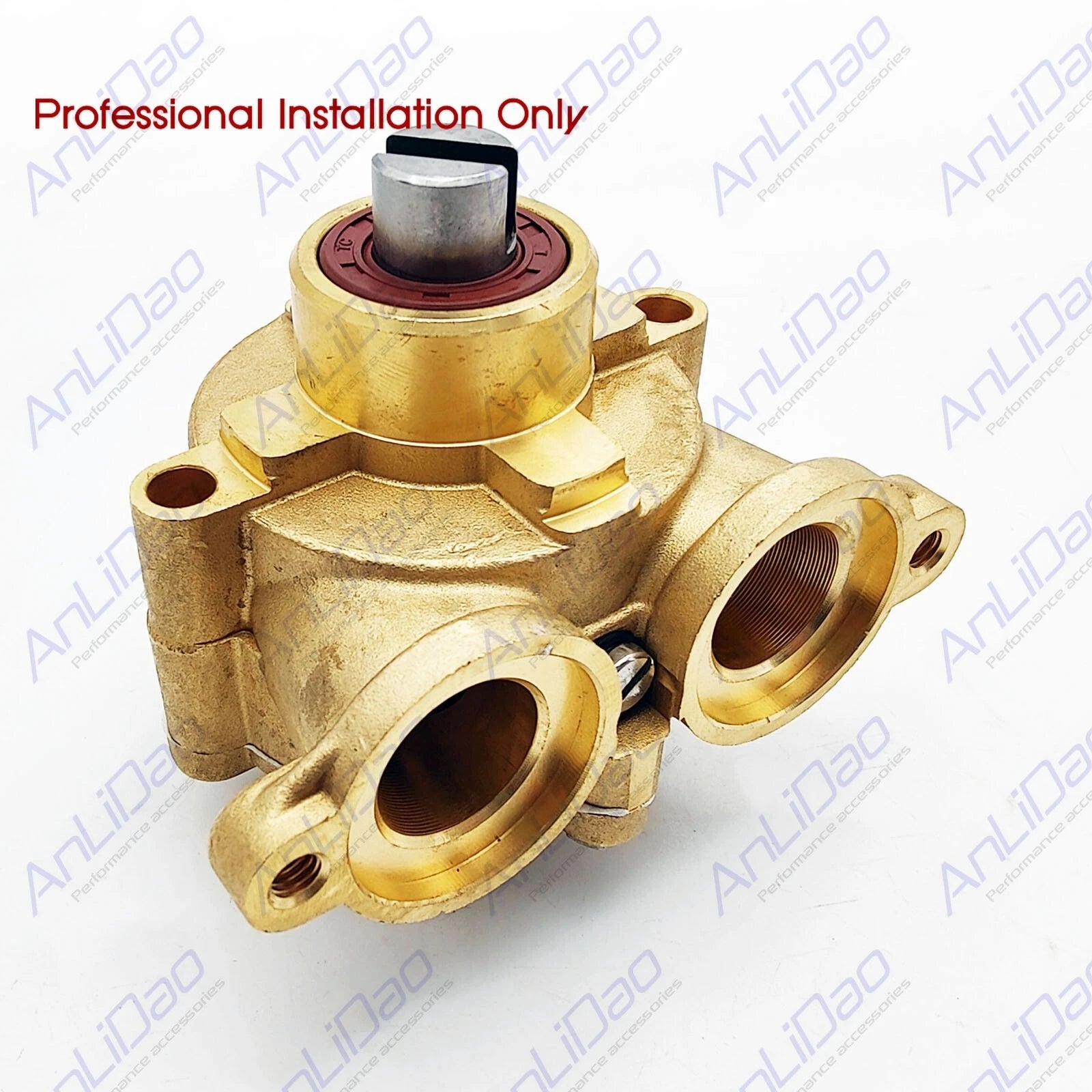 Sea Water Pump for Volvo Penta Johnson Gasoline Engine (855578, 855517, 828026)