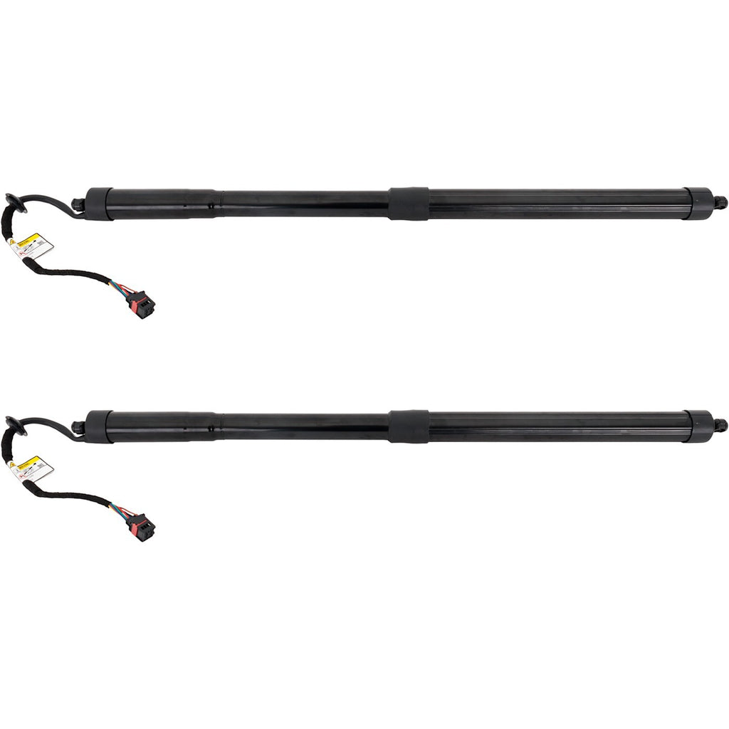 Set of 2 Liftgate Lift Supports for Range Rover