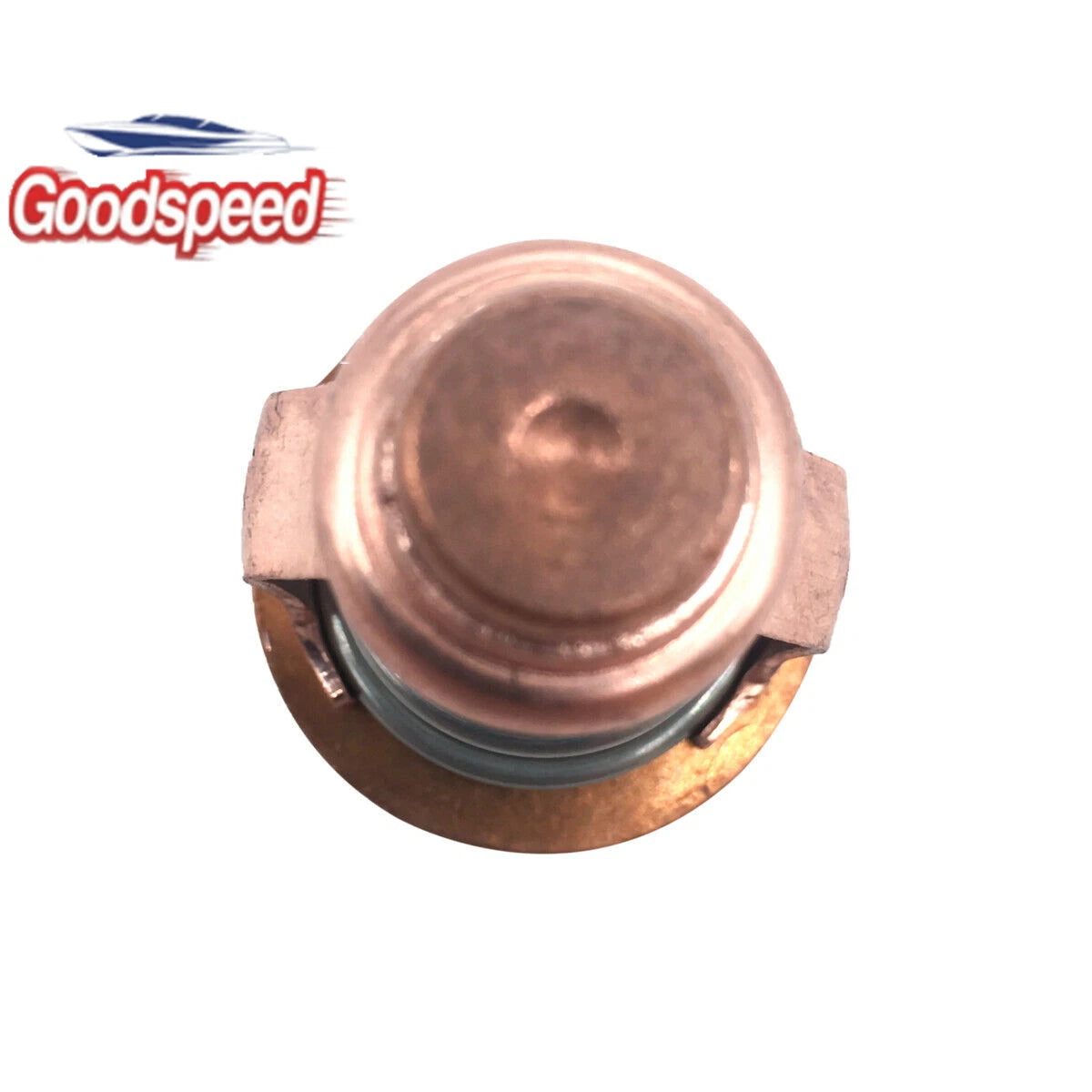 Thermostat 67F-12411-01 for Yamaha Outboard F75 F90 F150 F200 F225 F250 (4-Stroke)