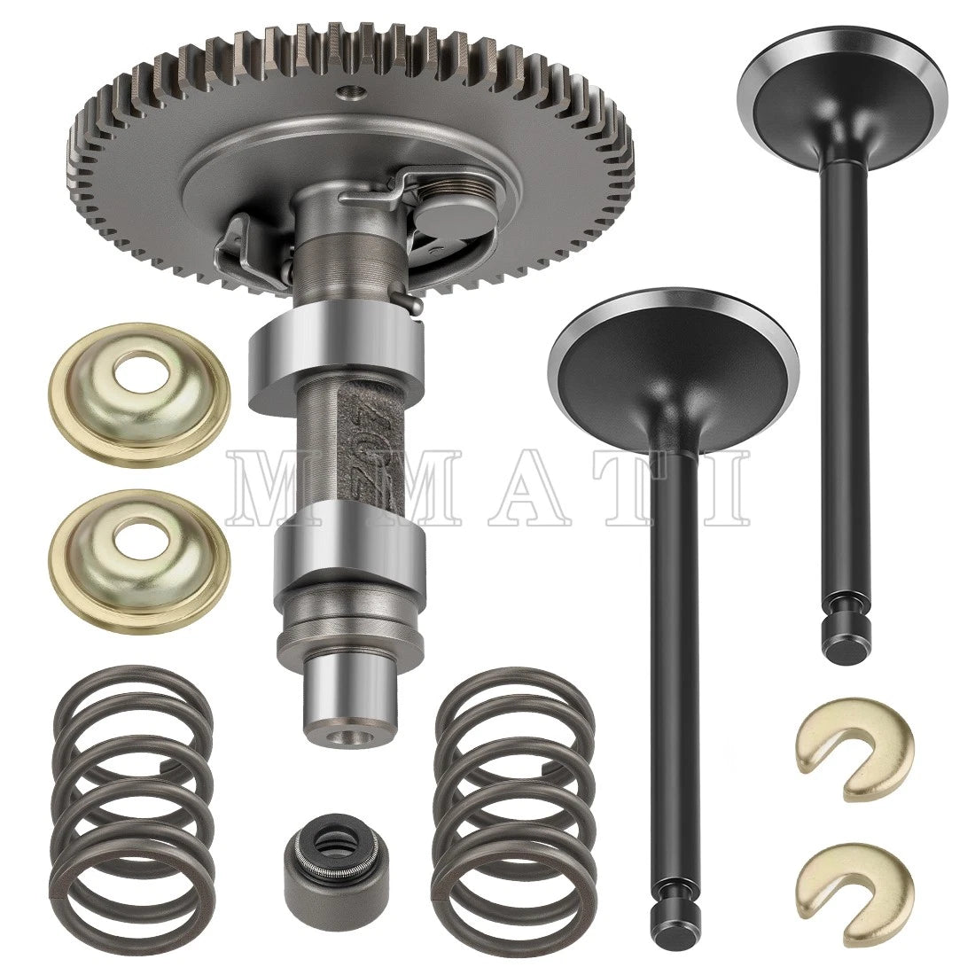 Camshaft Valves with Springs Seal Kit for Yamaha G21 G22 G23 G27 G28 (Gas)
