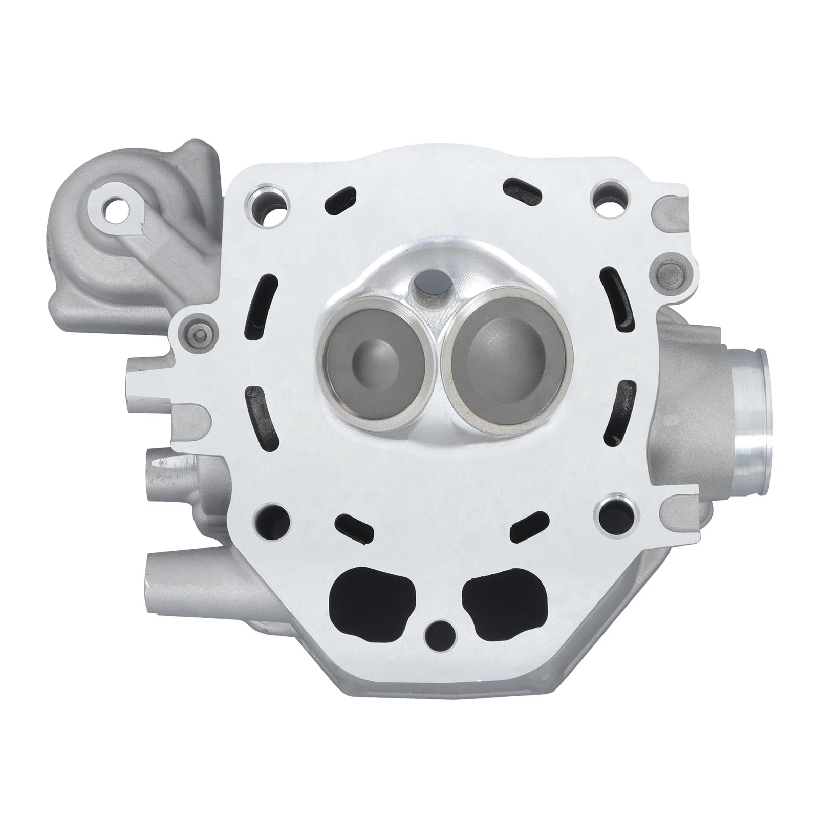 Engine Rebuild Kit Cylinder Head for Honda TRX420 (2009-2024)