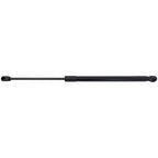 Liftgate Lift Supports for Hyundai Kona (2019–2023)