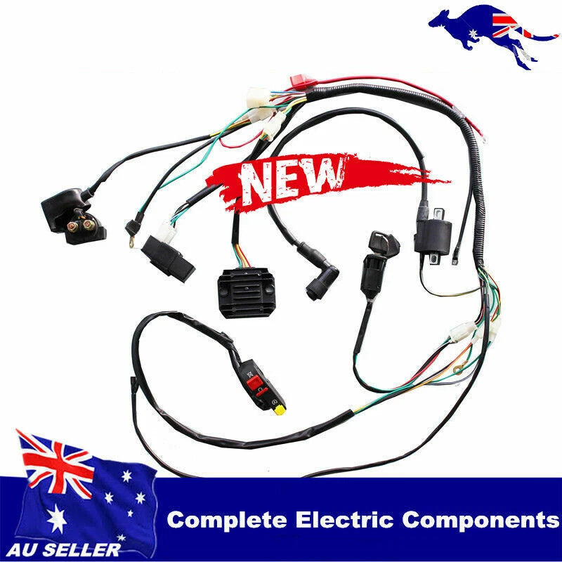 Wiring Harness Loom Engine Kit for Atomik Thumpstar Pitpro Foxico TDR