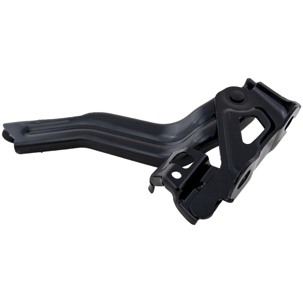 Hood Hinges for Toyota Avalon (2019–2022)