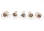 5X 6V Speedometer Light Bulbs for Honda CT70 CT90 CT110 CT125 MT XL XR100 XR125 (1970–1985)