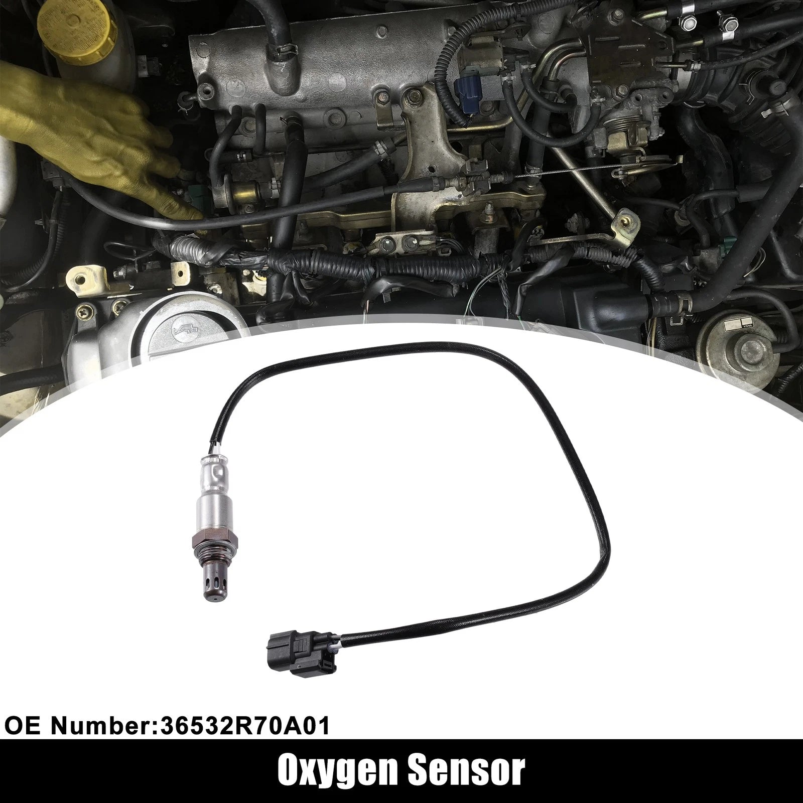 Oxygen Sensor No.36532R70A01 for Honda Accord EX 