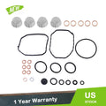 Injection Pump Seal Kit for Volkswagen Beetle (1998–2003)