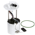 Delphi FG1743 Fuel Pump Module Assembly for Buick LaCrosse Regal (2012–2016)
