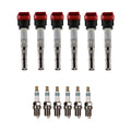 Set of 6 Ignition Coils & Iridium Spark Plugs for Audi A6 Quattro Q5