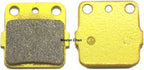 Brake Pad Shoes for Honda TRX250X (2009–2021)