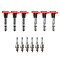 Set of 6 Ignition Coils & Denso Iridium TT Spark Plugs for Audi A4 A6 (1996–2020)