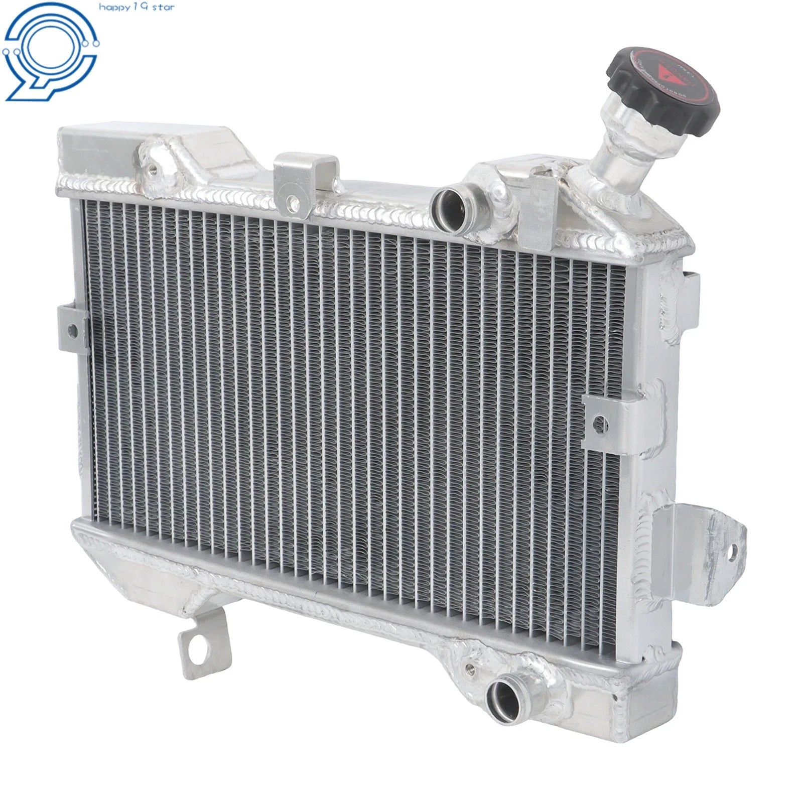 Aluminum Radiator for Suzuki LTR450 LT450R (2006–2009)