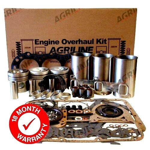 Engine Overhaul Kit with Valve Train for Ford 4000 4600 4110