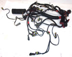 Evinrude Etec Engine Wiring Harness Assy 0587009 for 115-130HP (2009–2012)