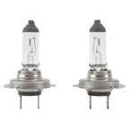 Hella H7 100W Multi-Purpose Light Bulb for