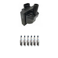 Set of 6 Hitachi Ignition Coils & Denso Spark Plugs for Blazer 4.3 V6 (1995–2005)