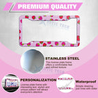 Universal License Plate Frame for Stainless Steel (2000-2020)