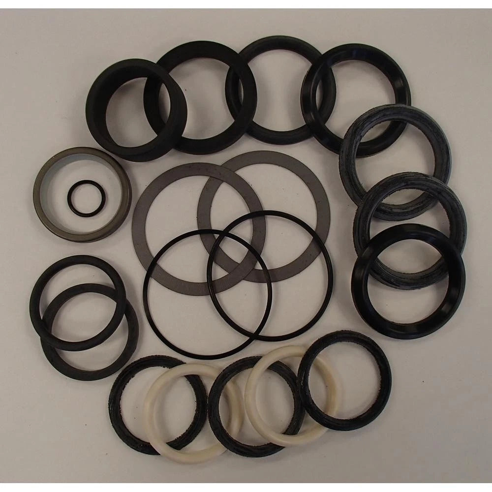 Hydraulic Cylinder Seal Kit for Ford/New Holland (Replaces 309960)